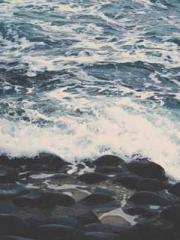 Falling for You: The