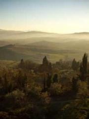 Double Blessing: CEO