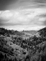 Li Qingqing and Zhao