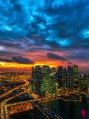 The Favorite Concubi