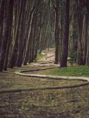 Chen Pingapos;an and