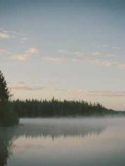 The Heavenly Physici