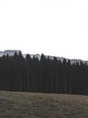 The Return of the Su