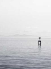 Becoming a solitary 
