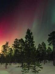 My seven stunning an