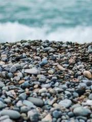 Become a big shot in