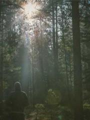 My seven stunning an