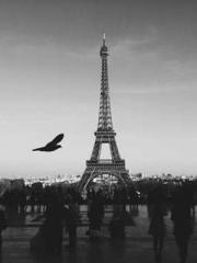 Falling for You: The