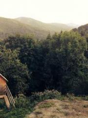 Becoming a Farm Girl
